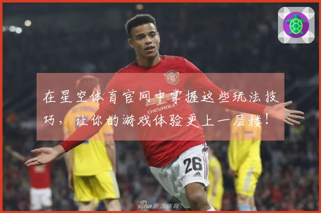 在星空体育官网中掌握这些玩法技巧，让你的游戏体验更上一层楼！