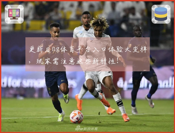 更新后ng体育平台入口体验大变样，玩家需注意这些新特性！