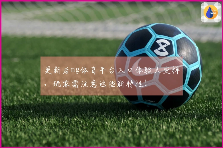 更新后ng体育平台入口体验大变样，玩家需注意这些新特性！